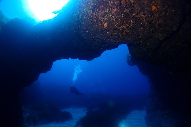 2 Scuba Fun Dives for Certified divers in St Paul's Bay - Equipment and what you must bring