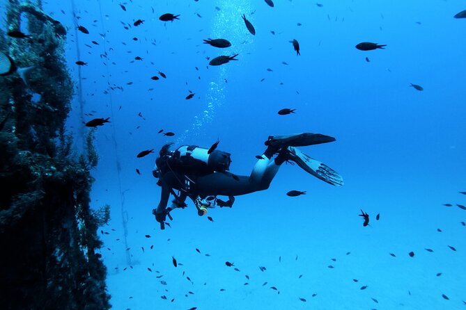 2 Scuba Fun Dives for Certified divers in St Paul's Bay - Who can take part