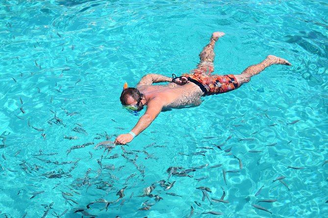 Blue Lagoon, Beaches and Bays Catamaran Sailing Tour - A six-hour day on the Sea Breeze