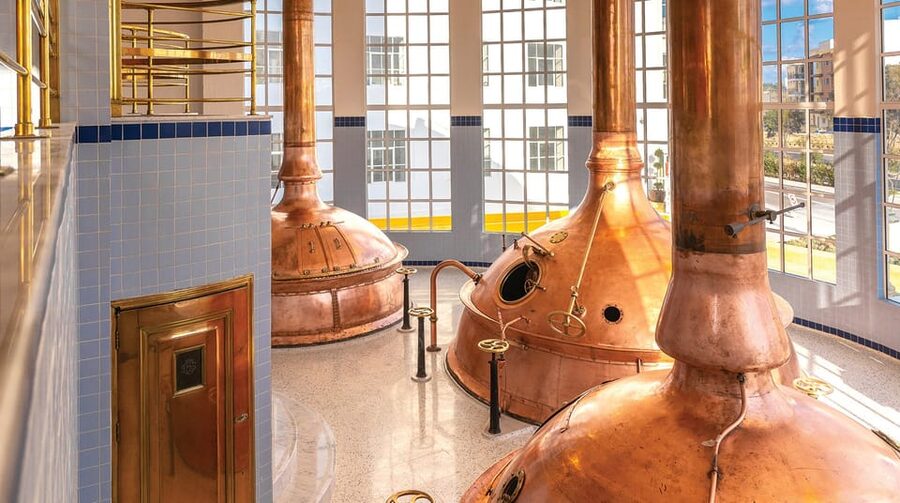 Brewery Experience with Beer Tasting and Optional Transport - Who will enjoy this brewery experience most?