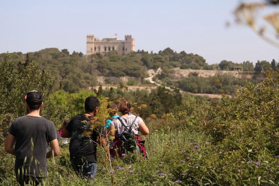 Buskett Woodlands and Dingli Cliffs Private Nature Tour - Key points at a glance
