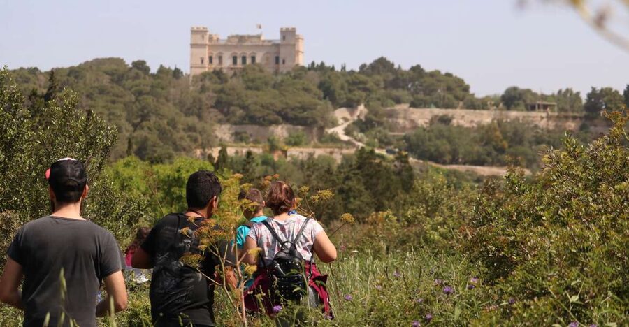Buskett Woodlands and Dingli Cliffs Private Nature Tour - Għar il-Kbir and the Curt Ruts mystery