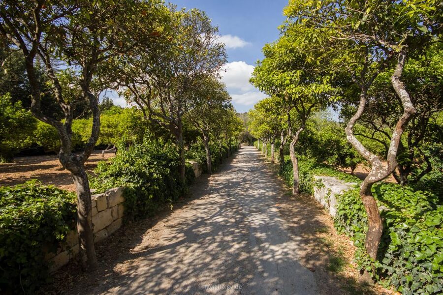 Buskett Woodlands and Dingli Cliffs Private Nature Tour - What the six-kilometre walk feels like