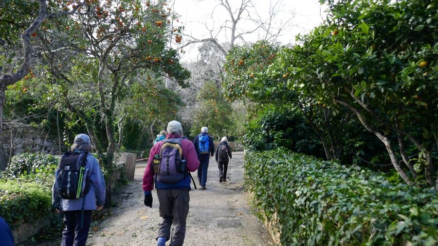 Buskett Woodlands and Dingli Cliffs Private Nature Tour - What the guide adds