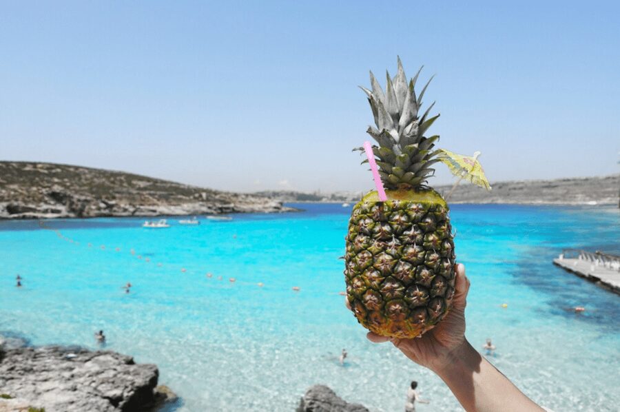 Celebration Sail - Lover’s Cave, Comino, Gozo & Blue Lagoon - Key points to know before booking