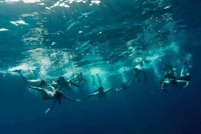 Comino Guided Snorkeling Experience - St. Maria Caves and the sea bream