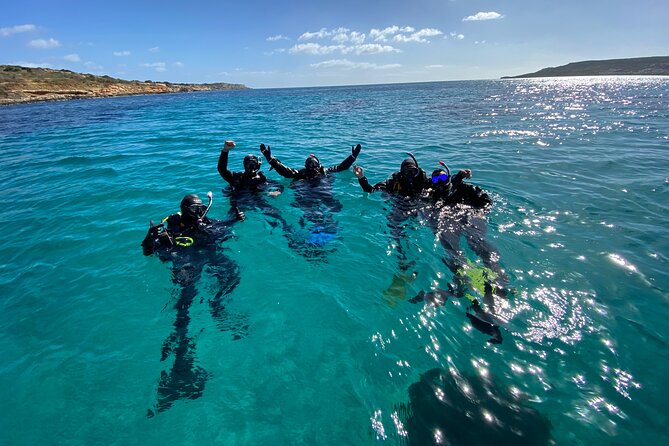 Comino Guided Snorkeling Experience - Seeing the P31 wreck from the surface