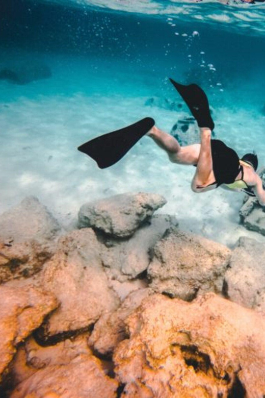DiveSnap Underwater Sports Thrills:Lantern Point & P31 Wreck - Key things to know before booking