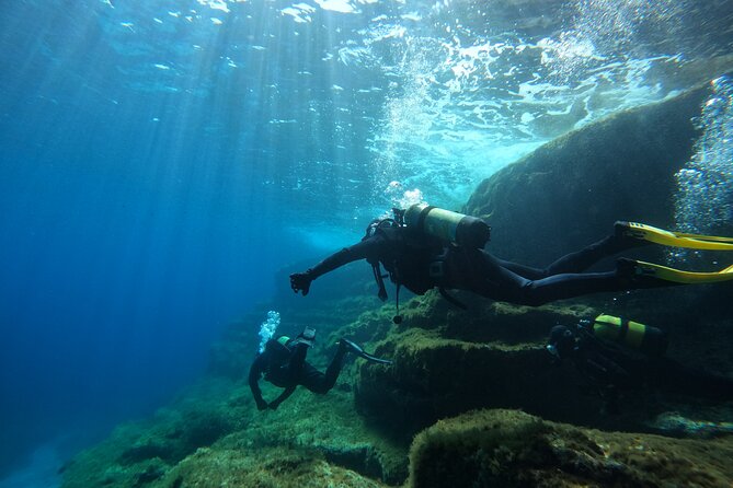 Diving experience in Malta - Online theory before you enter the water