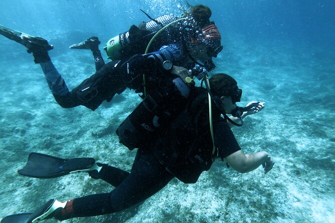 First Experience Scuba Diving - The Briefing, Equipment, and Safety Check