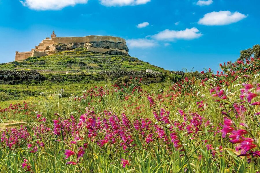 From Malta: Gozo Day Trip Including Ggantija Temples - How the pace, group size, and transport affect the day