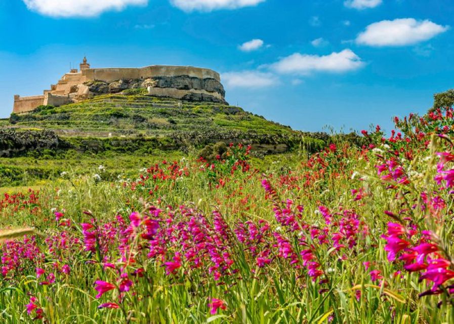 From Malta: Gozo Full-Day Tour with Guide, Temples, & Train - Why Gozo works well as a full-day trip