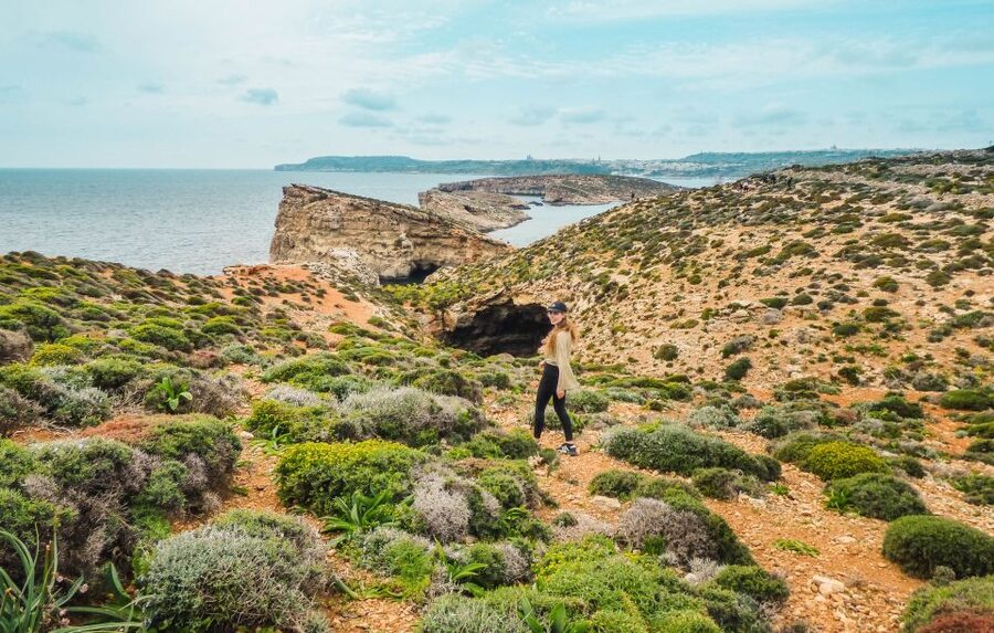 From Sliema: Comino Island and Blue Lagoon Cruise - Choosing between swimming, snorkeling, and walking