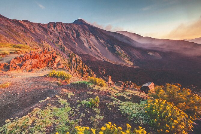 Full Day Sicily Tour from Malta. Visit Mt Etna and Syracuse - Key Points Before You Book