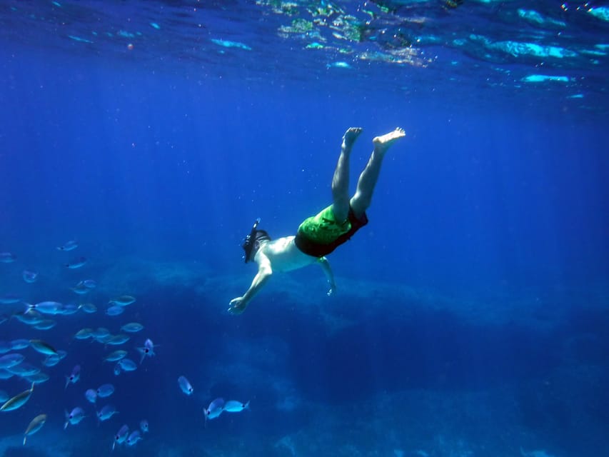 Gozo and Comino Boat and Snorkeling Adventure - Price, group size, and the real value