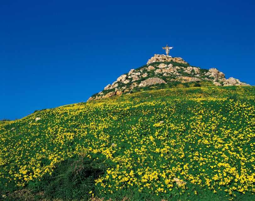 Gozo Day Pass Ferry and Hop-on Hop-off buses with audio Tour - What the $59 pass really buys you