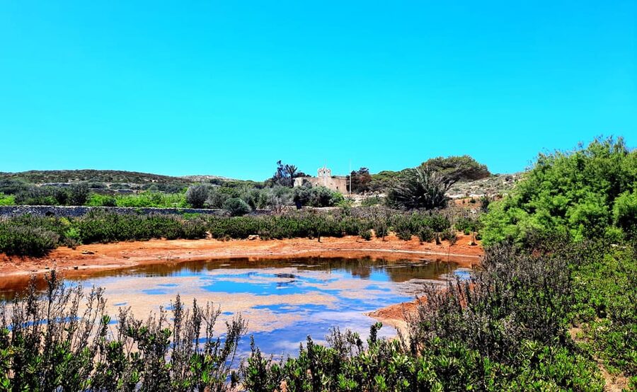 Gozo Unveiled: Guided Hiking in Comino Island - Key things to know before booking