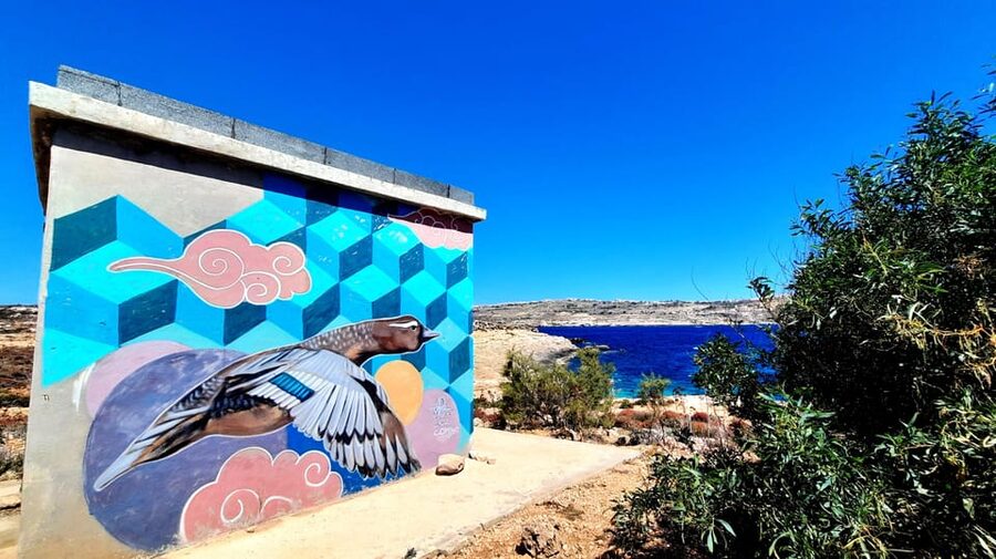 Gozo Unveiled: Guided Hiking in Comino Island - Comino’s inland plants, animals, and old cemetery