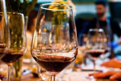 Wine Tasting and Paired Dinner Experience