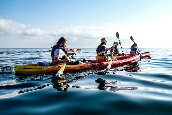 Guided Kayak Tour in St Paul's Island - The weather backup along Selmun and Imġiebaħ