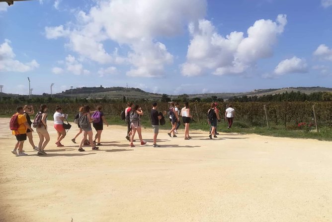 Half Day Private Tour Around Malta - The driver-guide question