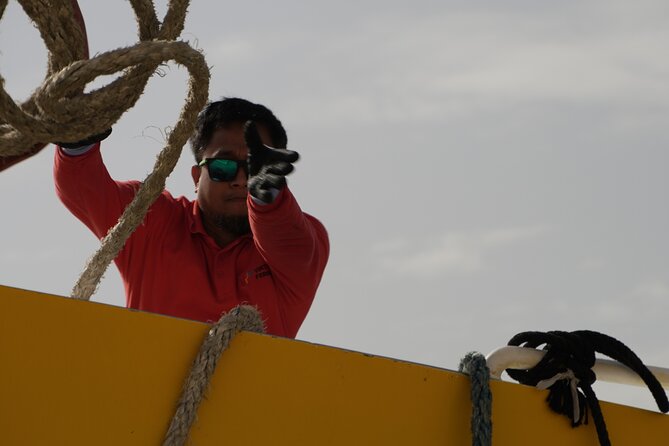Highspeed Catamaran Crossing Between Malta and Gozo - Who will get the most from this crossing