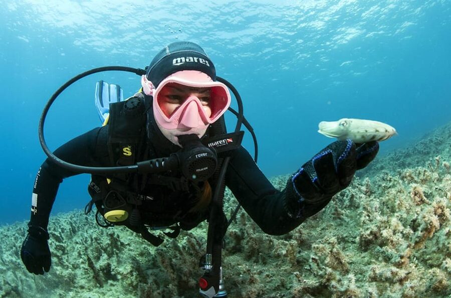 Malta: 1-Day PADI Scuba Diver Certification Beginner Course - Key points to know before booking