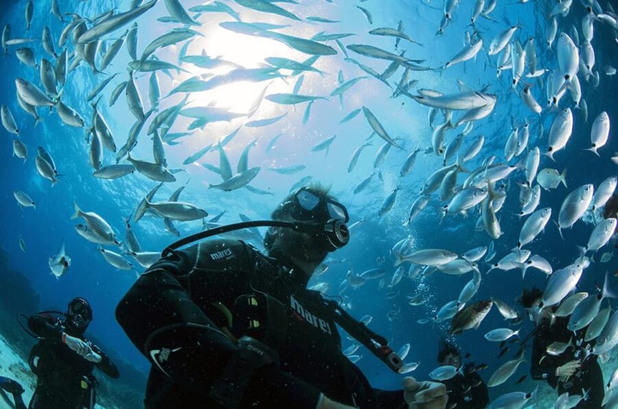 Malta: 1-Day PADI Scuba Diver Certification Beginner Course - What this Malta course really offers