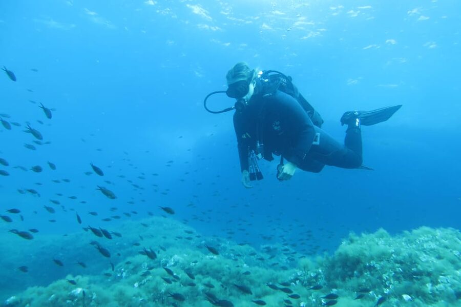 Malta: 2 Scuba Fun Dives for Certified divers - Key points to know before booking