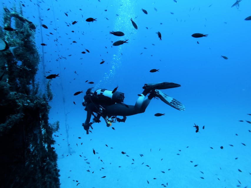 Malta: 2 Scuba Fun Dives for Certified divers - The first underwater session, about 45 minutes
