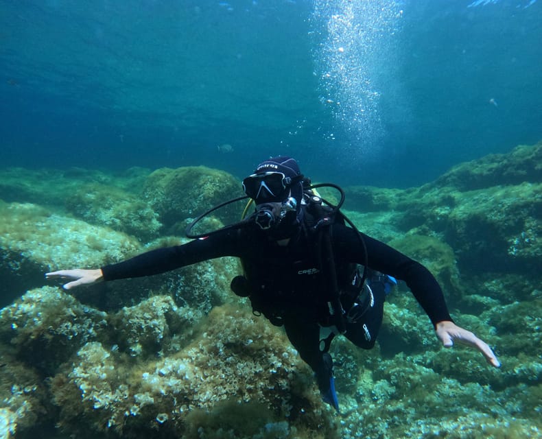 Malta: Discover Scuba Diving in crystal clear waters - Who should book this Malta activity