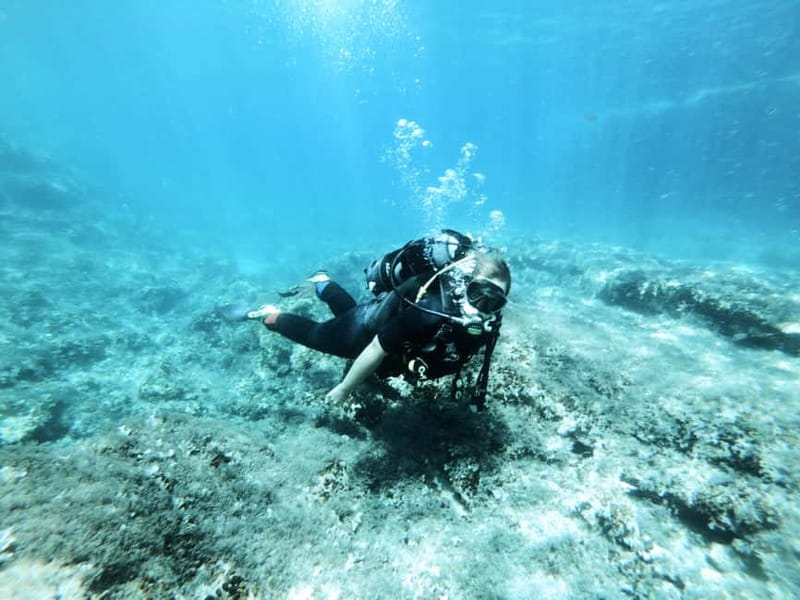 Malta: First Experience Scuba Diving Lesson - Key points to know before booking