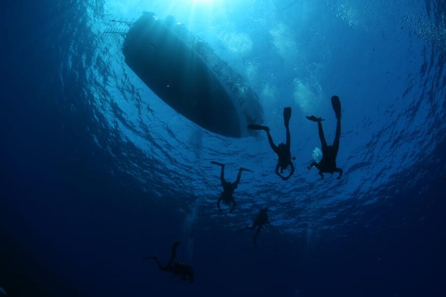 Malta: Guided Shore Dives in Malta for Certified Divers - Key points to know before booking