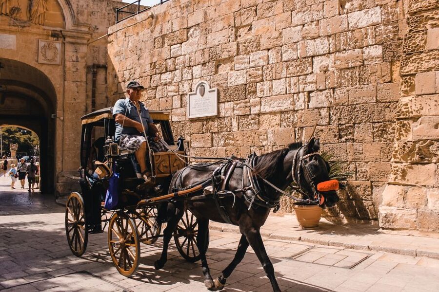 Malta: Highlights of Malta & Mdina Full Day Tour with Lunch - Taking in the sea at Dingli Cliffs