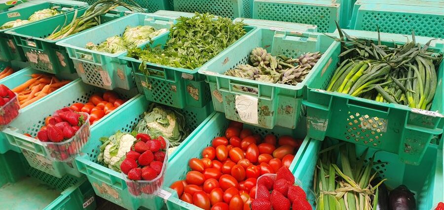 Malta: Mdina and Rabat Food Tour - Rabbit, bragioli, red wine, and imqaret