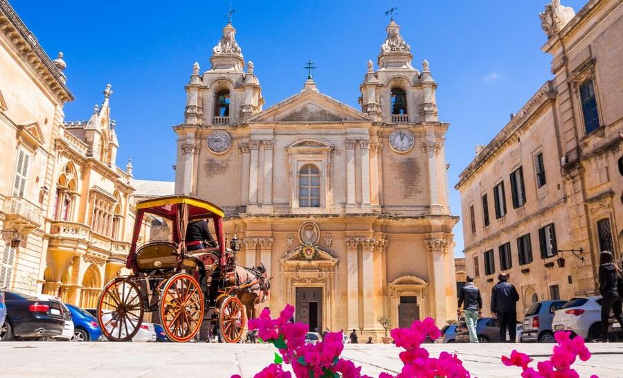 Malta: Mdina, Dingli Cliffs and San Anton Botanical Gardens - Is $41 a fair price?