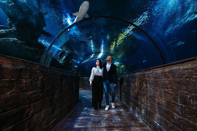 Malta National Aquarium Entrance Ticket - The promenade, playground, and St. Paul’s Islands views