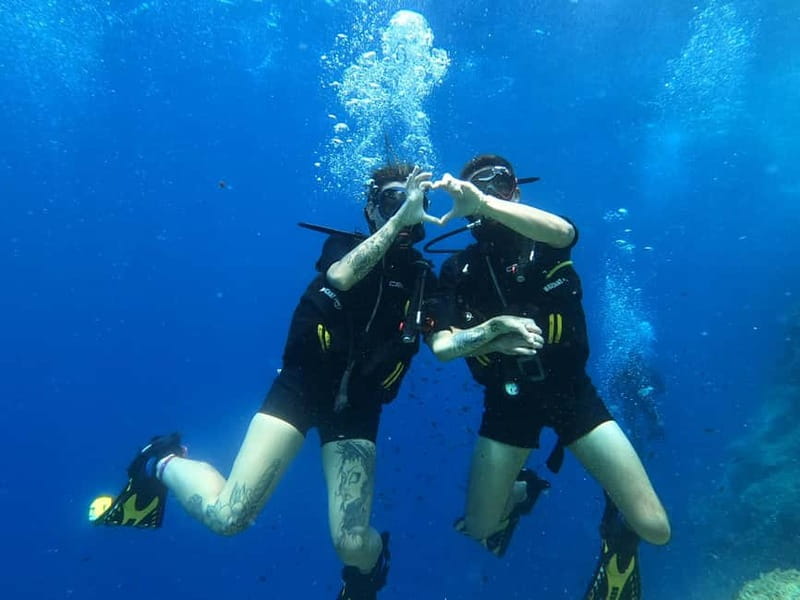 Malte : Baptême de plongée sous-marine en Français - Quick points to know