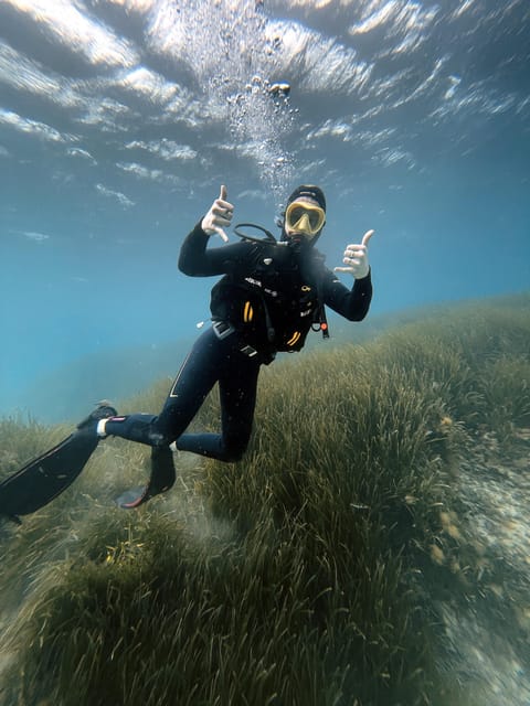 Malte : Baptême de plongée sous-marine en Français - Is $96 a fair price?