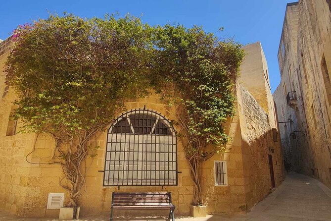 Mdina and Rabat Tour with a local licensed guide - Who should book this experience?