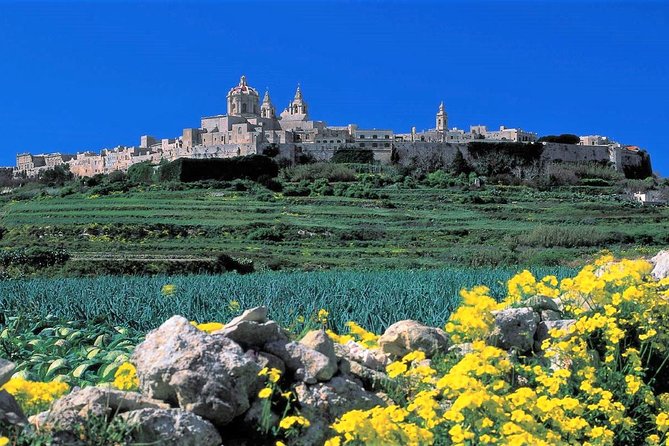 Mdina, Dingli cliffs and San Anton Gardens guided tour - Is $40.55 a fair price?