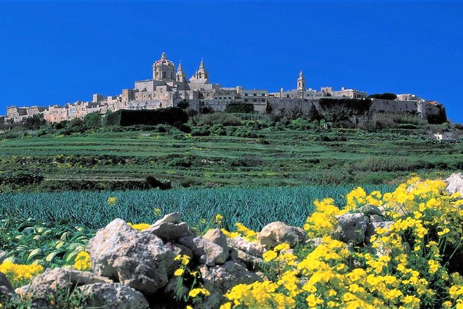 Mdina, Rabat, Dingli cliffs, San Anton gardens, Ta' Qali & Mosta guided tour - Key points to know before booking