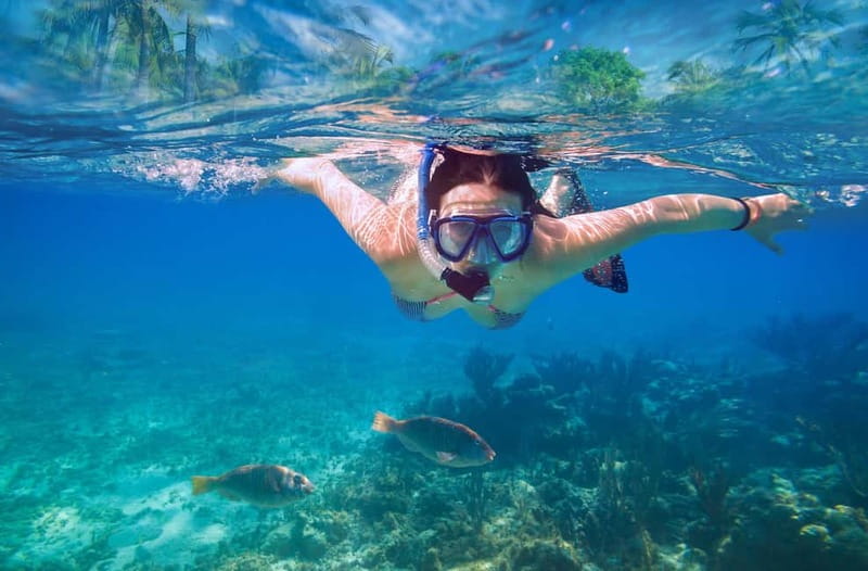 Mellieha: Round Comino, Blue Lagoon & Gozo Cruise with Water - Who will enjoy this cruise most?