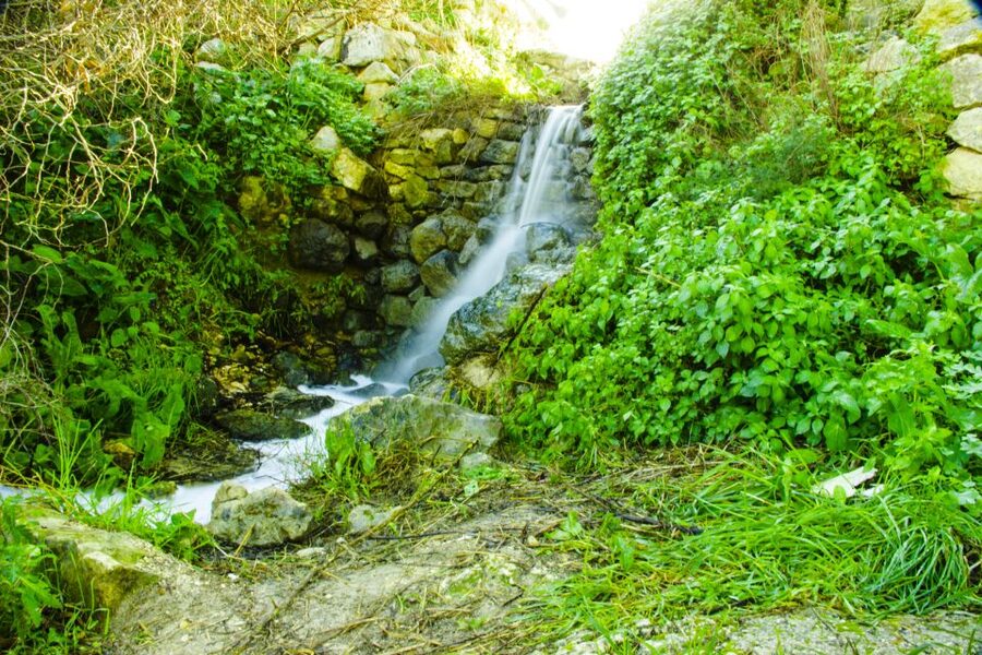 Nature Highlights Private Walking Tour with Transport - Is $206 per person a fair price?