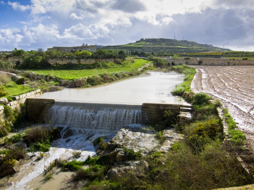 Nature Highlights Private Walking Tour with Transport - Who should book this walk?