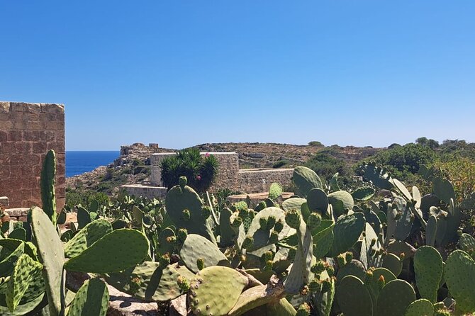 North Malta Quad Bike Tour with Land or Sea Views and Swimming - Mellieha Bay and the Armier Bay swim