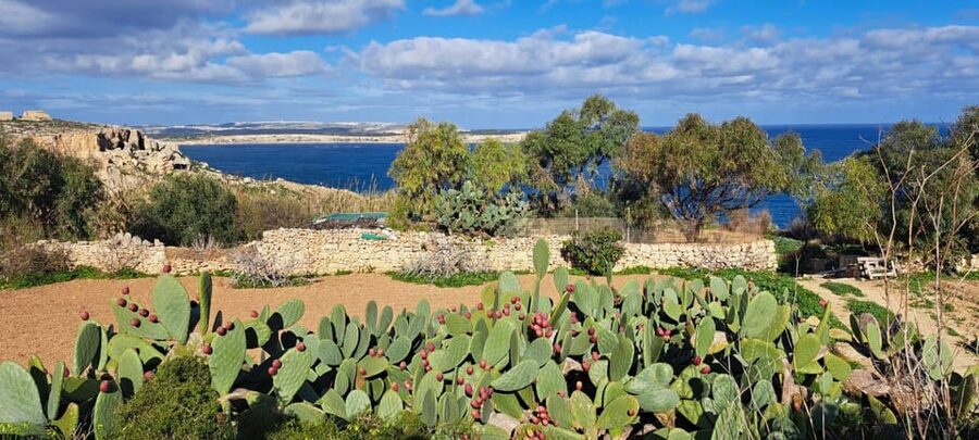 North Malta: Quad Bike Tour with Scenic Land, Sea & Swimming - Mellieha Bay and the Red Tower