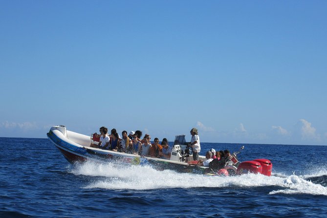 Okikoki Banis - Comino Blue Lagoon Speedboat Trip- Fast Ferry - Key points at a glance
