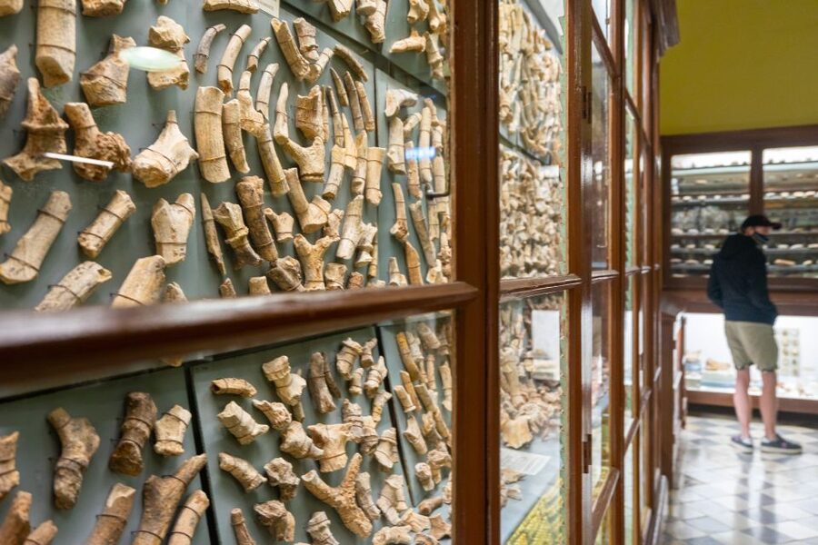 Prehistoric Temples of Malta Tour - Key points to know before booking