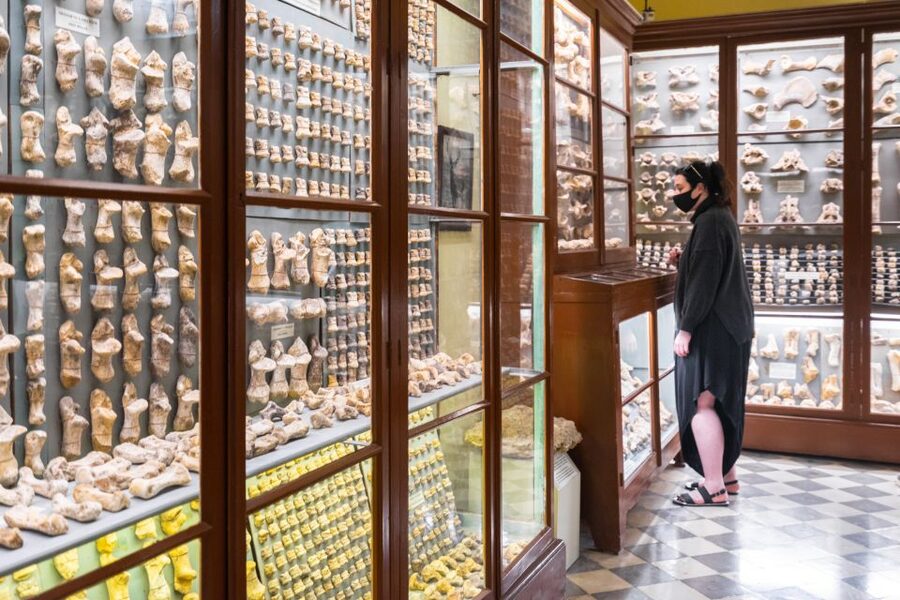 Prehistoric Temples of Malta Tour - What the guide contributes to the experience